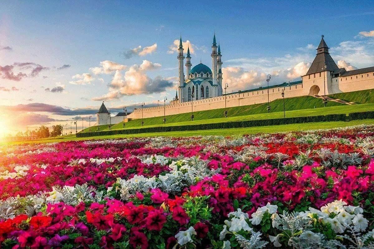 Email-рассылка в Казани: эффективное решение для локального и федерального бизнеса